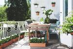green basics balkonkasten 80cm mild terra